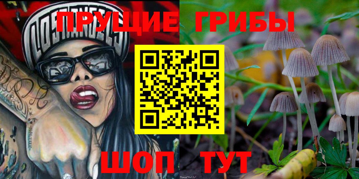Псилоцибиновые грибы Psilocybine cubensis  Вход с VPN  Тула 