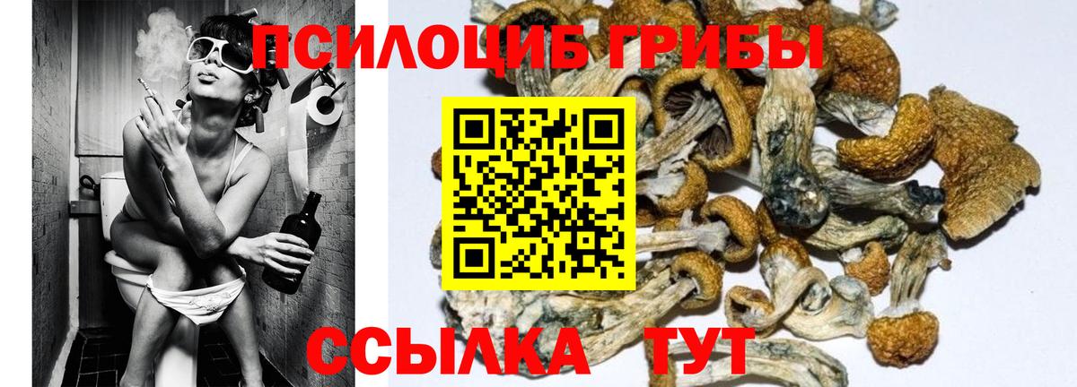 Галлюциногенные грибы Cubensis Тула
